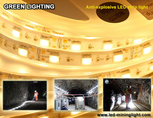 반대 엑스플소아이브 1500 lum 탄력적 LED 스트립 방수 60 PC는 각각 미터를 이끌었습니다