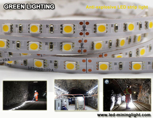 반대 엑스플소아이브 1500 lum 탄력적 LED 스트립 방수 60 PC는 각각 미터를 이끌었습니다