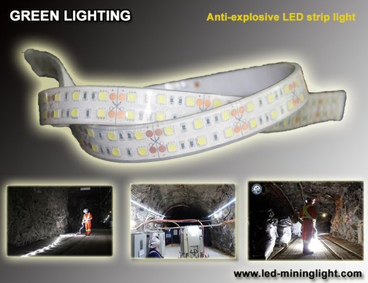 반대 엑스플소아이브 1500 lum 탄력적 LED 스트립 방수 60 PC는 각각 미터를 이끌었습니다