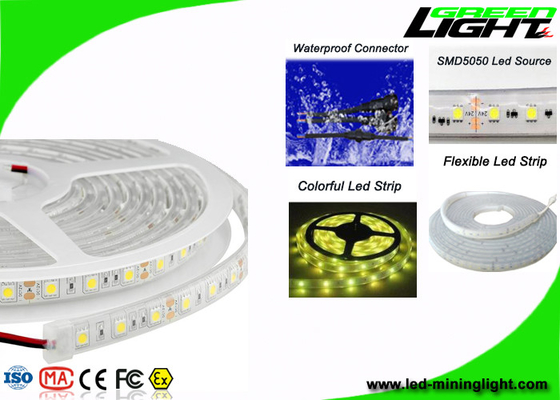60Leds/M, 항발화성과 직업 안전 야외 주도하는 스트립 라이트