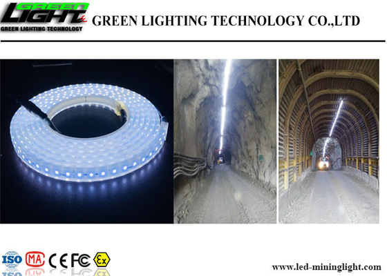 옥외 LED 가동 가능한 지구 빛 60의 Leds/내화성 M 높은 광도
