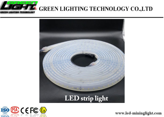 옥외 LED 가동 가능한 지구 빛 60의 Leds/내화성 M 높은 광도