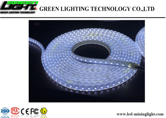 옥외 LED 가동 가능한 지구 빛 60의 Leds/내화성 M 높은 광도