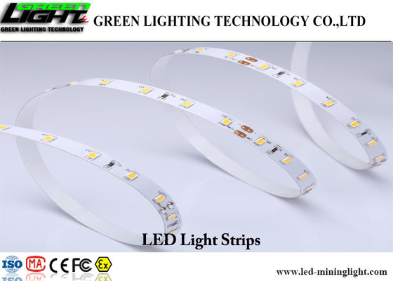 IP68 LED 가동 가능한 지구 빛 5M 300 전력 공급을 가진 LEDs 5050 RGB 가득 차있는 장비