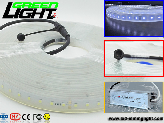 12v DC IP68 17W SMD5050 탄력적 주도하는 스트립 라이트