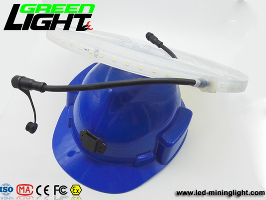 12v DC IP68 17W SMD5050 탄력적 주도하는 스트립 라이트