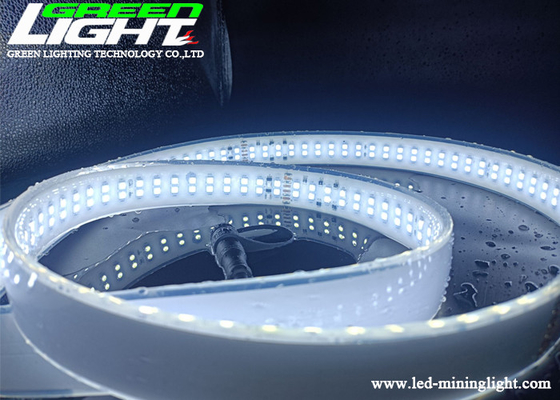 SMD2835 AC110V 주도하는 네온 스트립은 화이트 색 실리콘 이중 열을 밝힙니다